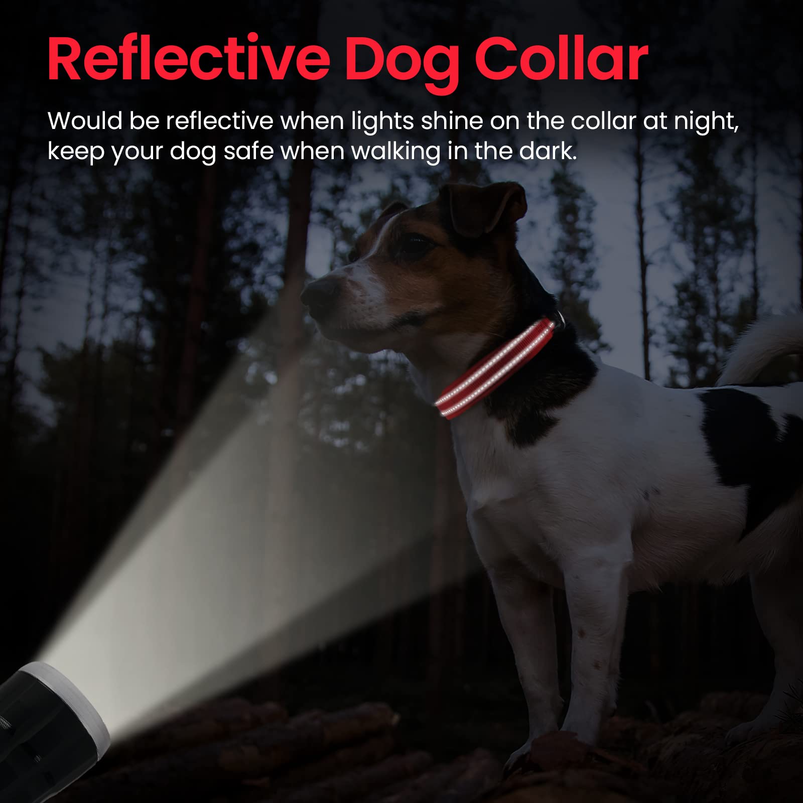 TagME Reflecterende nylon halsbanden, verstelbare klassieke halsband met snelsluiting gesp voor middelgrote honden, oranje, 2,5 cm breedte