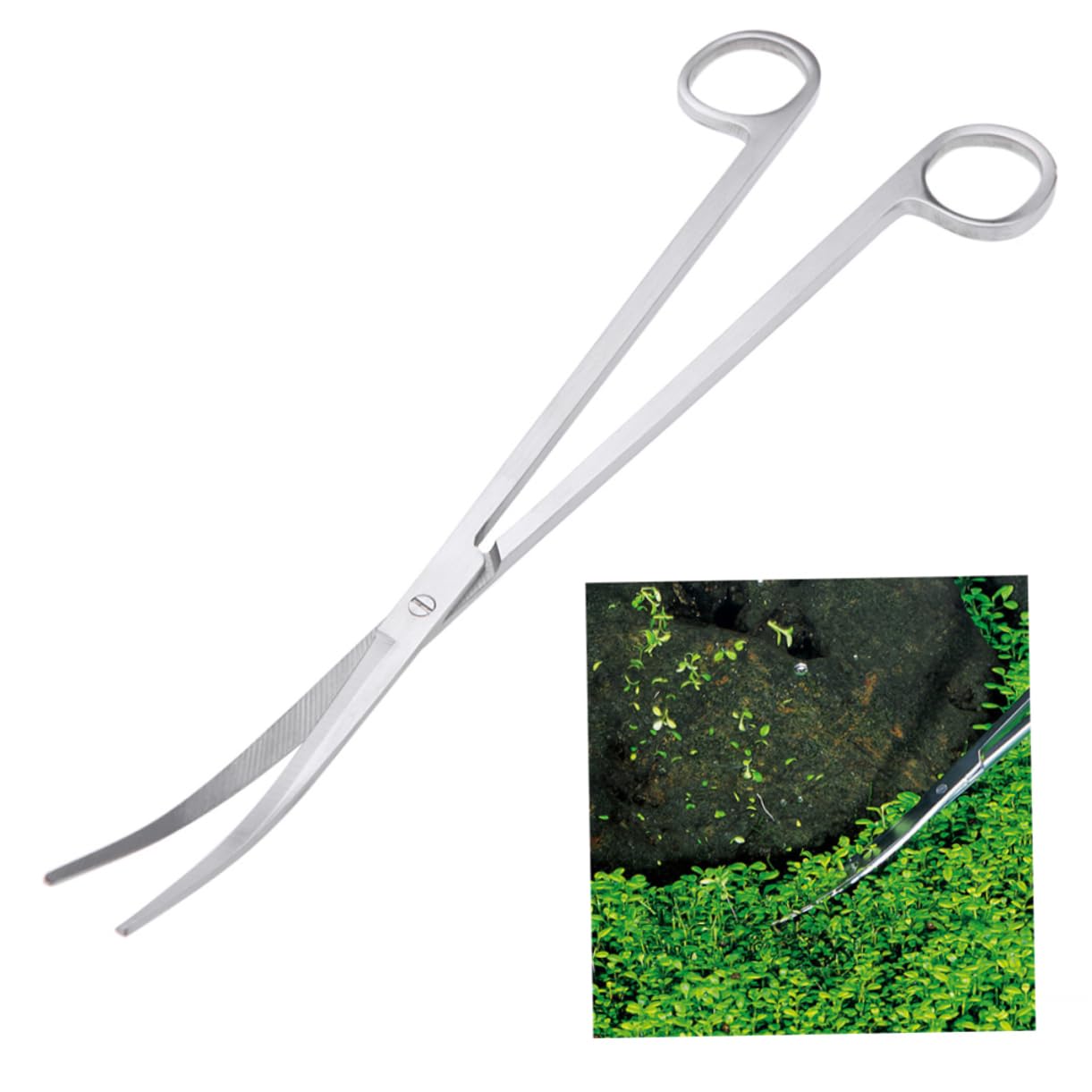 Kisangel 3stücke Edelstahl Gebogene Schere Für Aquarienpflanzen Präzise Pflanzenschneider Mit Ergonomischem Design Für Aquascaping Und Pflege Von Wasserpflanzen