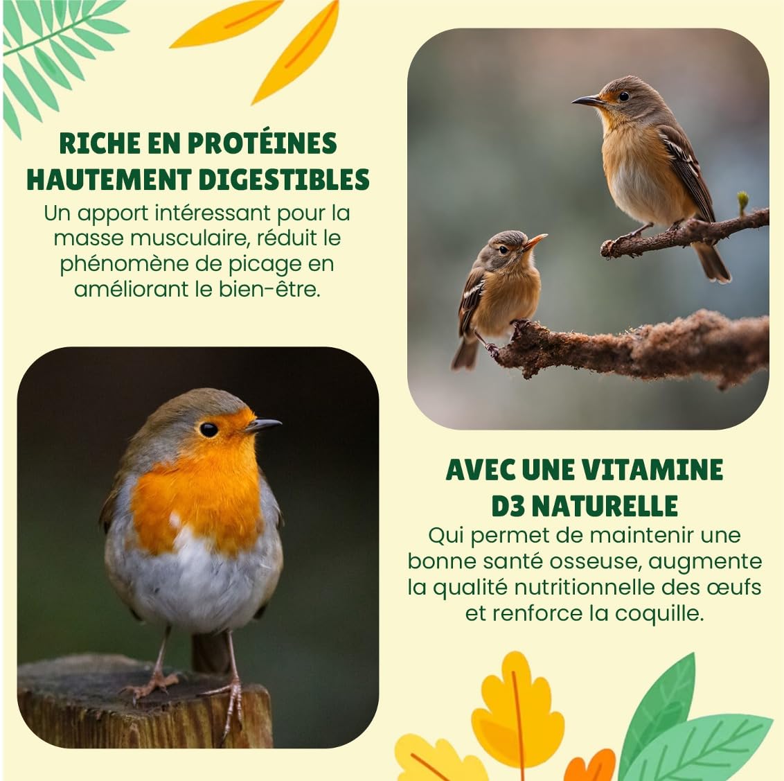 vers de Farine Séchés Français, 5kg (32,5L), 100% Naturel, Enrichis en Vitamines D3, Insectes Riches en Protéines et Bonnes Graisses, Nourriture Oiseaux Sauvages, vers de Farine Au Comptoir de Noé