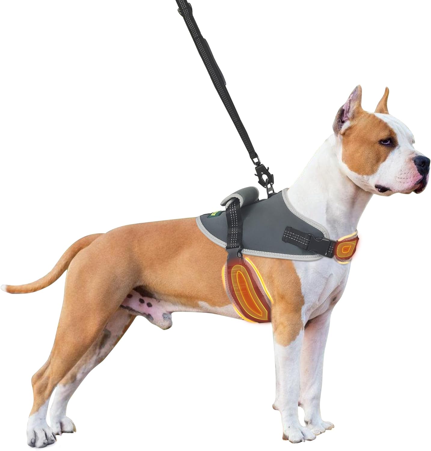 Dog Harness, No Pull Dog Harness with Reflective, No Choke Pet Vest, Adjustable Soft Padded Dog Vest, Dog Walking and Training Harness, Medium Dog Harness with Handle, Gray M Grey Harness M