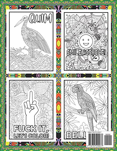 Fuck This Shit: Swear Word Coloring Book: Swear Word Colouring Books for Adults: Hilarious Swear Words Coloring Book: Swear Word Filled Adult Coloring, Swearing Coloring Book Pages for Stress Relief - Image 2