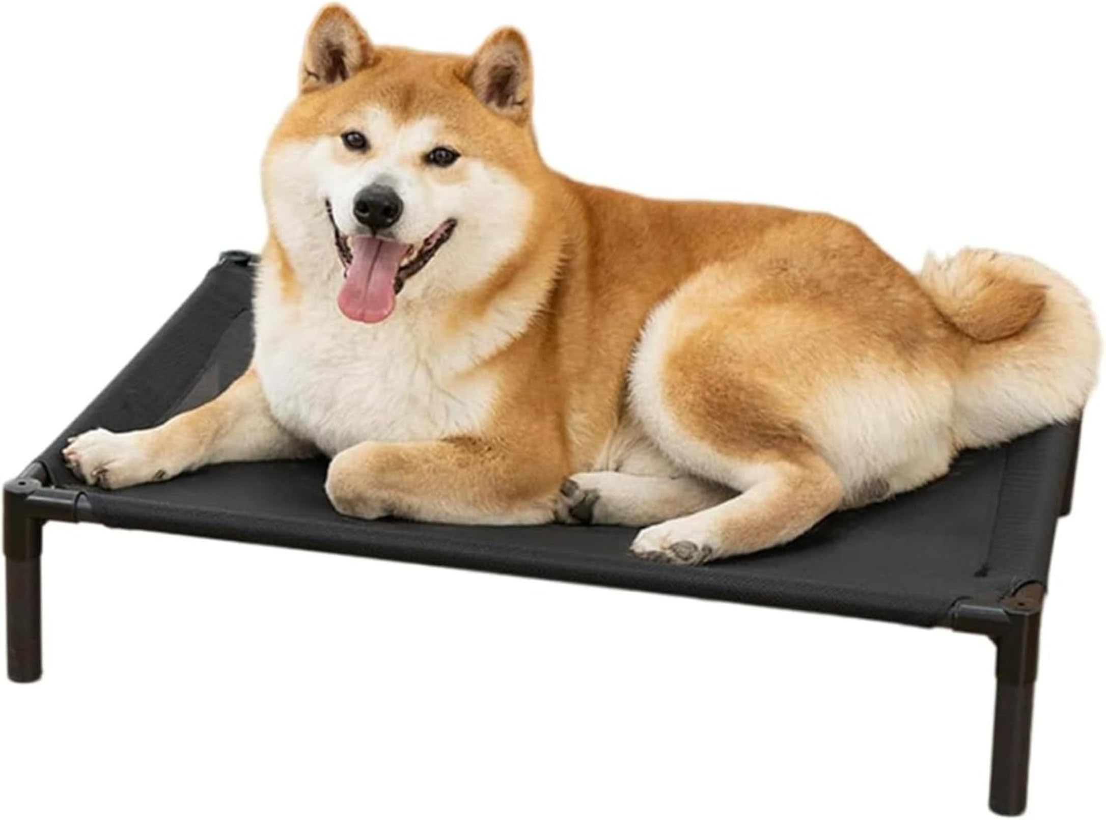 Amazon | Zitixo 犬用ベッド 噛んでも破れない 小型犬 耐噛み 脚付き
