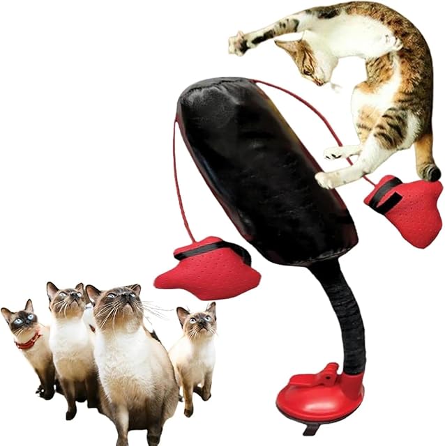 Foto 7 de 7 de ActSo Saco de Boxeo para Gatos,Cat Punching Bag Toy,Cat Boxing Toy,Boxing Toys