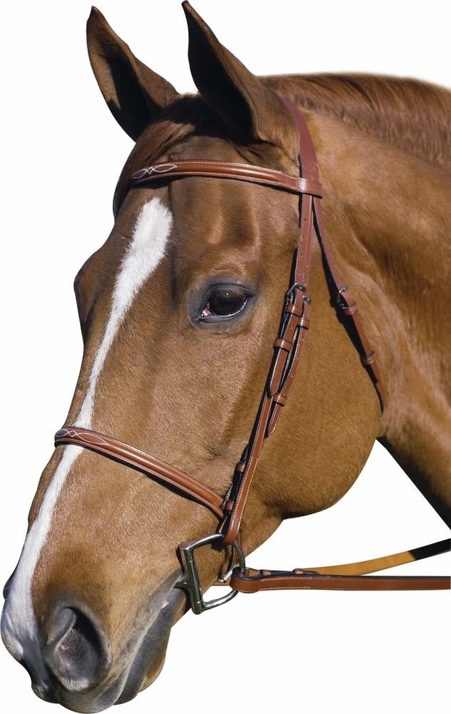 Henri de Rivel Pro Fancy Raised Bridle with Laced Reins