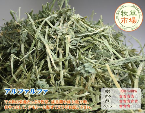 うさぎの牧草はアルファルファよりチモシー メリットとデメリット うさぎ飼いの日常