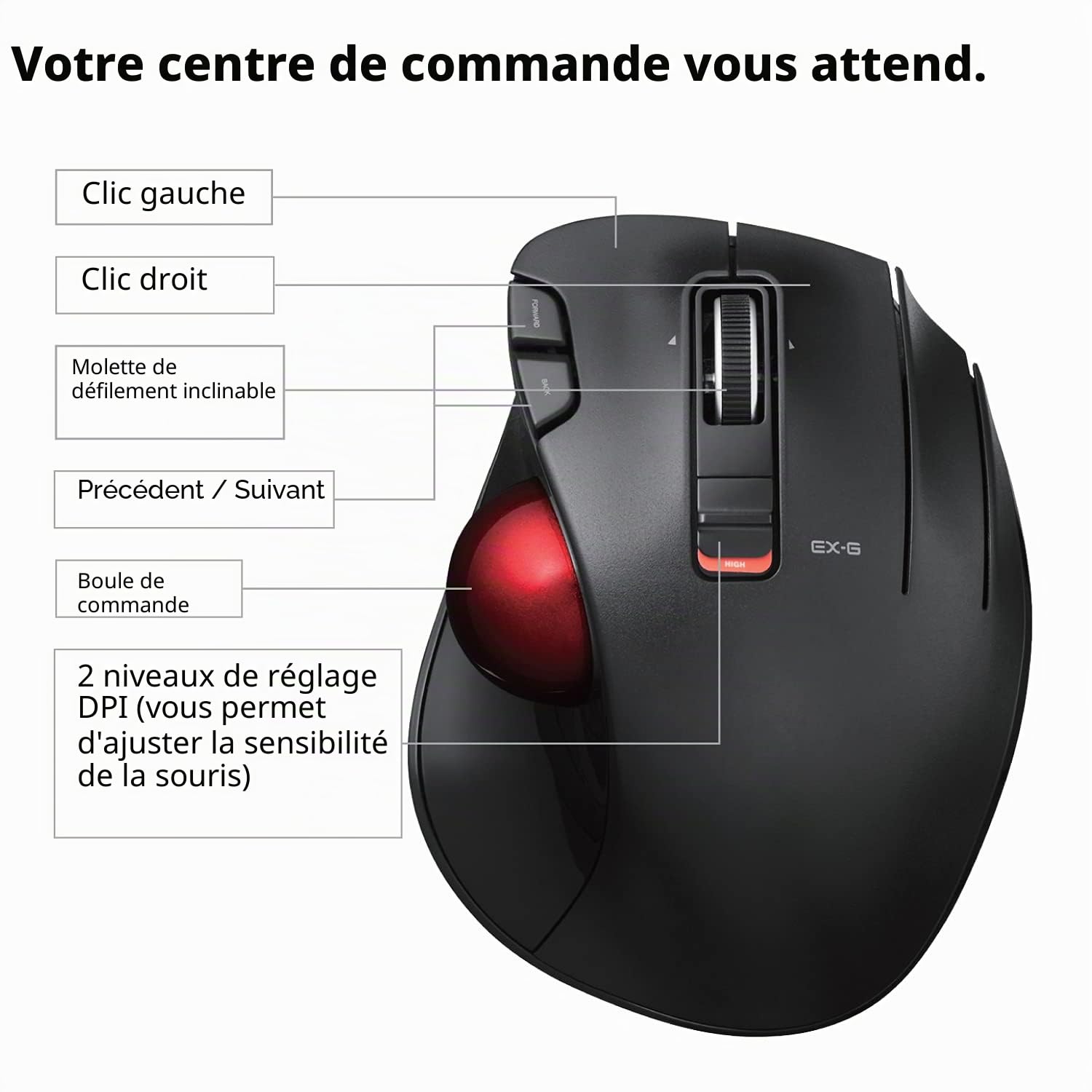 ELECOM EX-G Souris trackball USB 2,4 GHz sans Fil, Design Ergonomique, contrôle par Le Pouce, Balle de Suivi Fluide et précise, 6 Boutons programmables, défilement d'inclinaison, Souris d'ordinateur