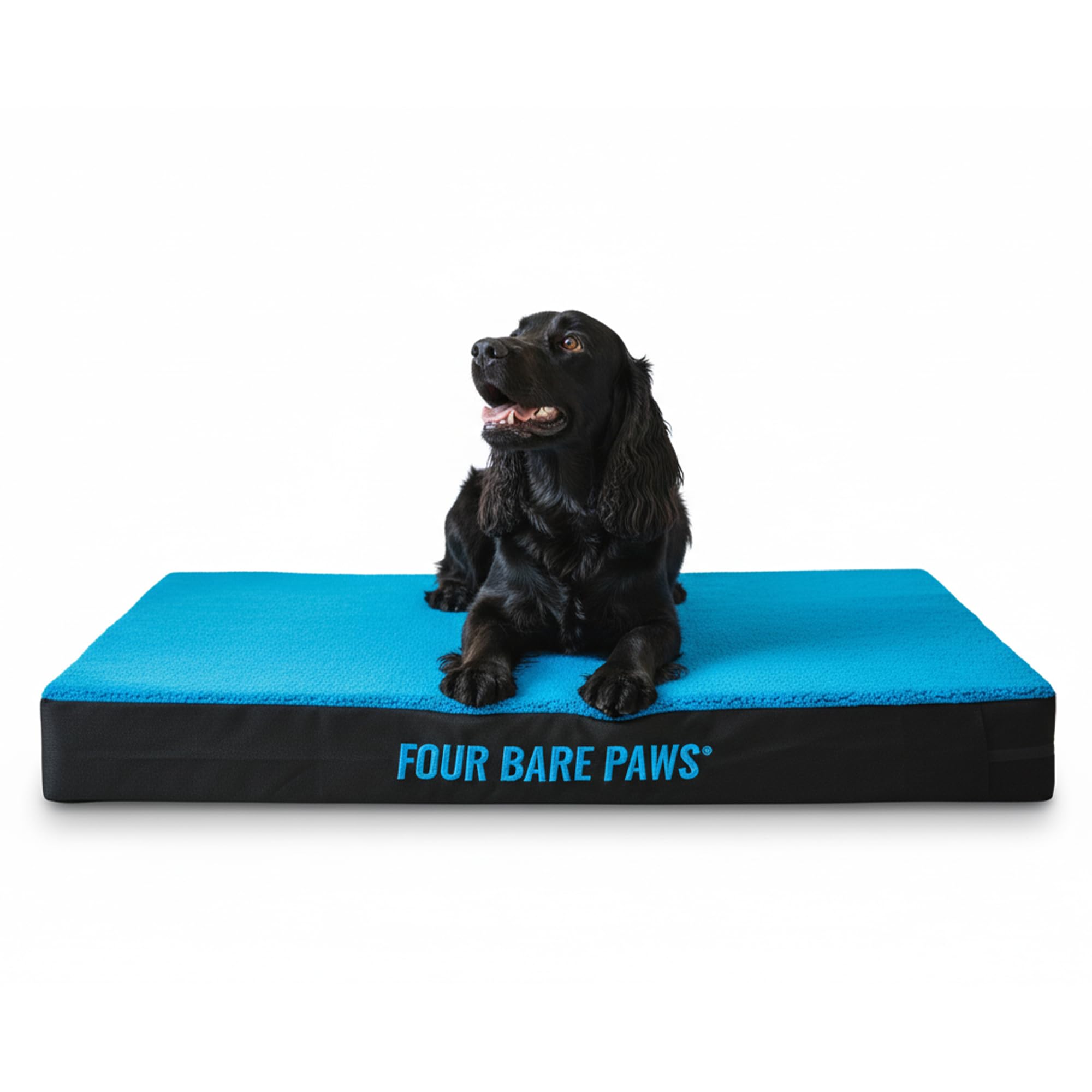 Four Bare Paws Orthopedic Dog Bed Mattress – Supportive Pet Bed for Small, Medium & Large Dogs – Washable Cover, Durable Comfort Cushion for Joint Relief, Ideal for Senior & Arthritic Dogs