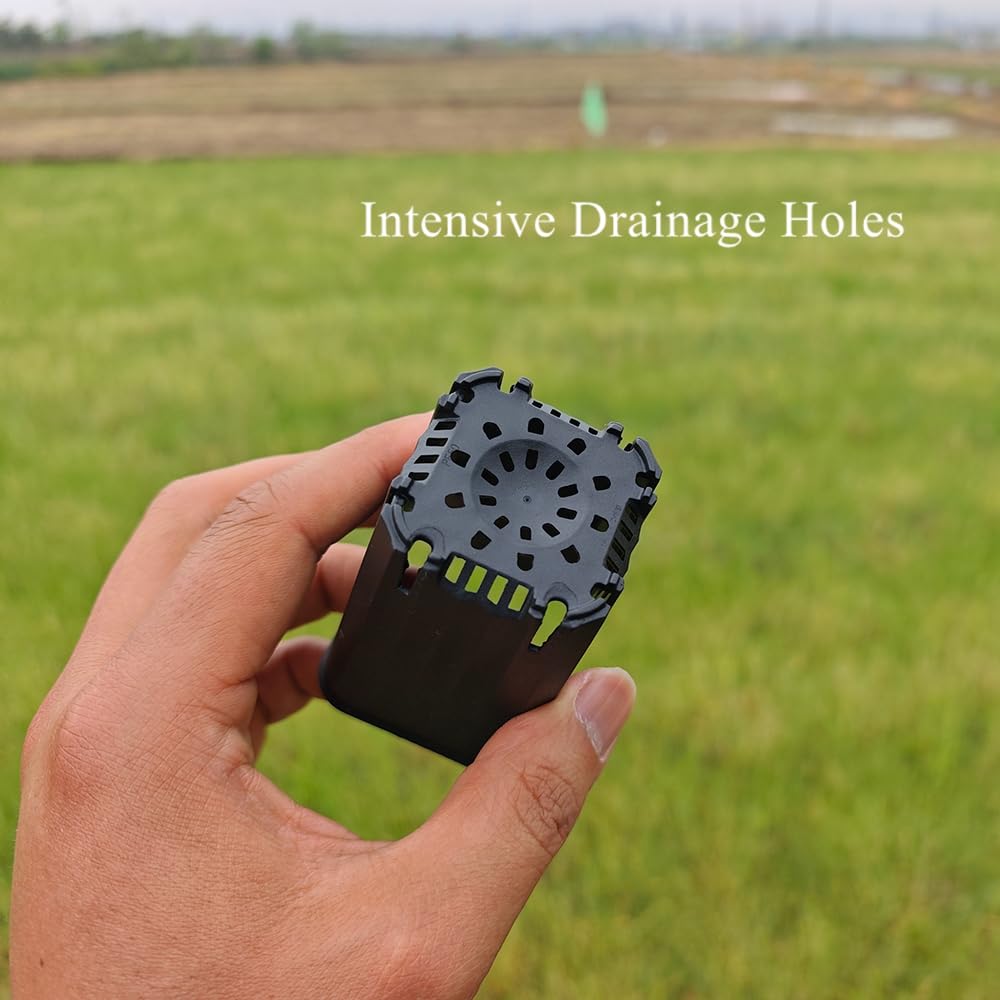 Lot de 180 petits pots de semis carrés en plastique noir de 5,9 cm avec trou de drainage pour germination, herbes et plantes grasses