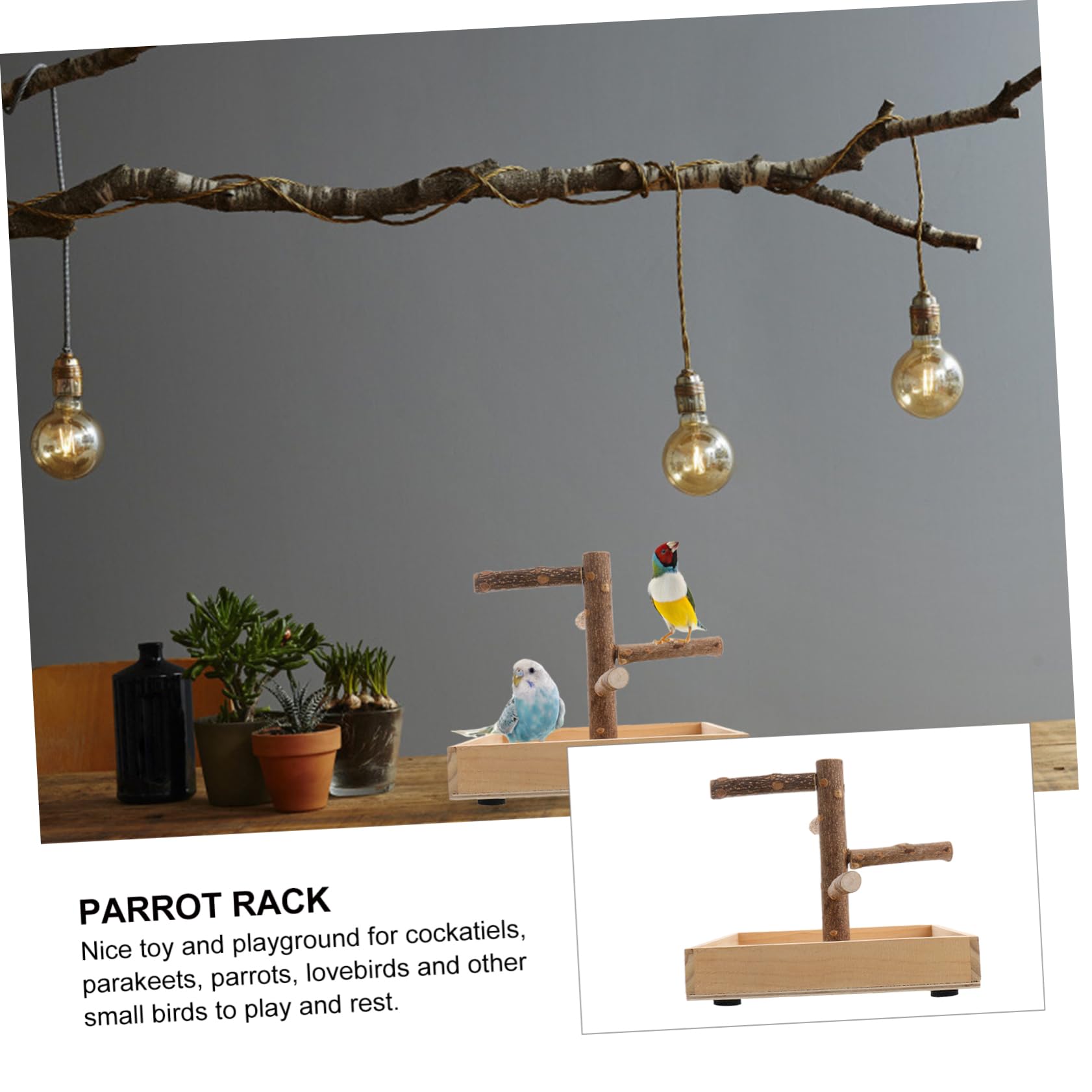 Yardwe De Juego para Pájaros De Madera Portátil, Soporte para Perchas De Loros, Pequeño, Gimnasio para Entrenamiento De Periquitos y Cacatúas