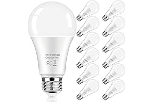 LED Light Bulbs 100W Equivalent 1600 Lumen Daylight