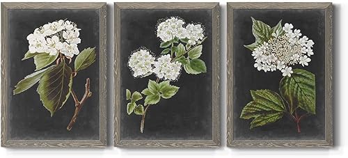 Renditions Gallery Decoración de pared, arte de pared de comedor, neutro, multicolor, cabaña, país francés, viejo mundo, floral, lienzo enmarcado de