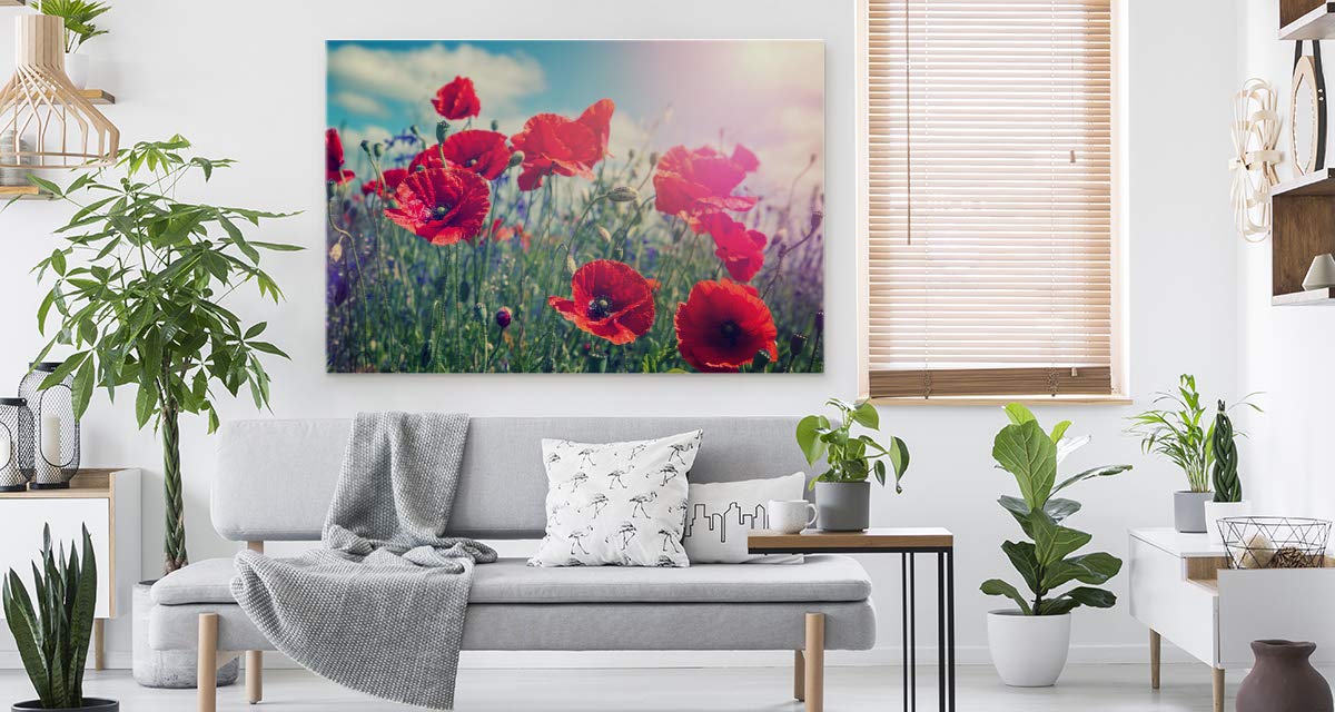 Muralo Wandbild Blumen, Mohnblumen, Sonne, Natur, Landschaft - 120x80 cm | Leinwandbild, Modernes Design, hochauflösender Druck - ideal für Schlafzimmer und Wohnzimmer, Frühlingsflair das ganze Jahr