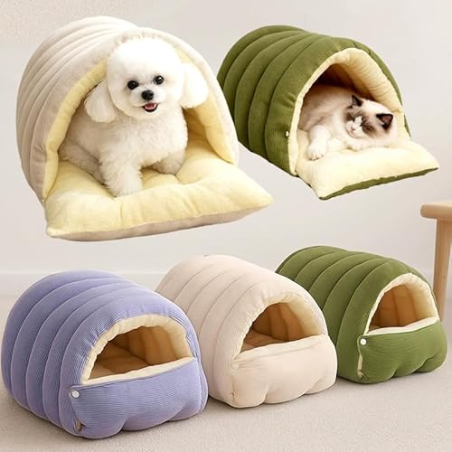 �y�J���R/�~�Č��p�z�L �x�b�h �A�C�{���[ �ӂ��ӂ��h�[���x�b�h �� �L �x�b�h �h�[�� �n�E�X �~�p �ӂ�ӂ� �ۉ� �g���� ���O���\ �R�[�f�����C �􂦂� �x�b�h �n�E�X �y�b�g�x�b�h �ȃX�y�[�X ���L ���� ������ ���߂� ���� �x�b�h �ې�