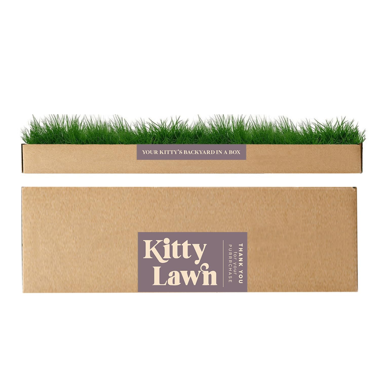 Kitty Lawn - Percha y tumbona para ventana de gato de césped real, cama de césped fresco para gatos grandes y pequeños, asiento de ventana para tomar el sol y observar aves, cultivado en Estados