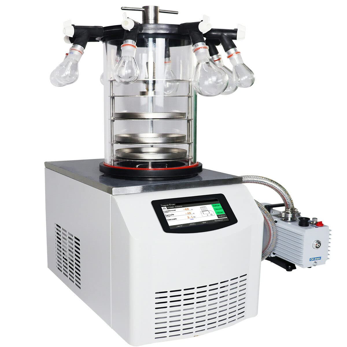 Amazon.com: HNZXIB: LAB-Freeze Dryer