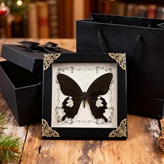 Real Framed Butterfly Taxidermy Butterfly, Handmade Wooden Shadow Box Taxidermy Specimen Display for Wall Art Hanging Home Decor (6.7''x6.7'')