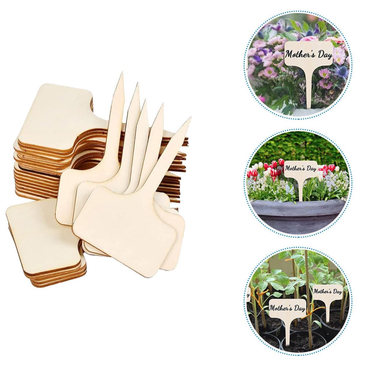 HANABASS 5 Ensembles Étiquettes De Plantes Marqueurs Unfinished Pour Identifier Vos Fleurs Et Décorations De Jardin 20 Pièces * 5
