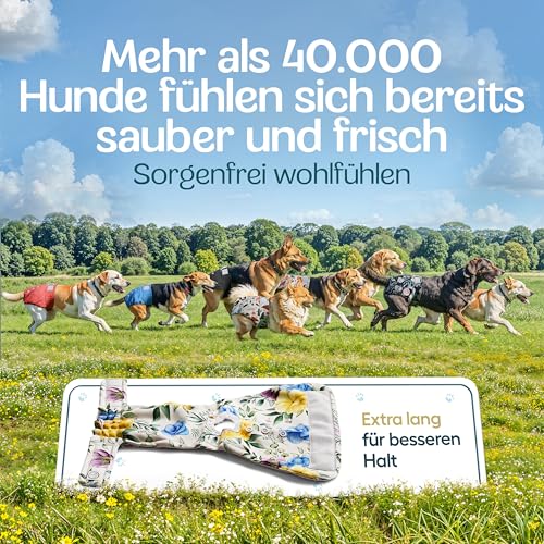 HUND IST KÖNIG Hundewindeln für Hündinnen (3 Stück) - Hochabsorbierende Läufigkeitshose für Hündinnen mit 3-Fach Justierung - Umweltfreundliche Hunde Windeln, Hundehöschen Läufigkeit & Inkontinenz