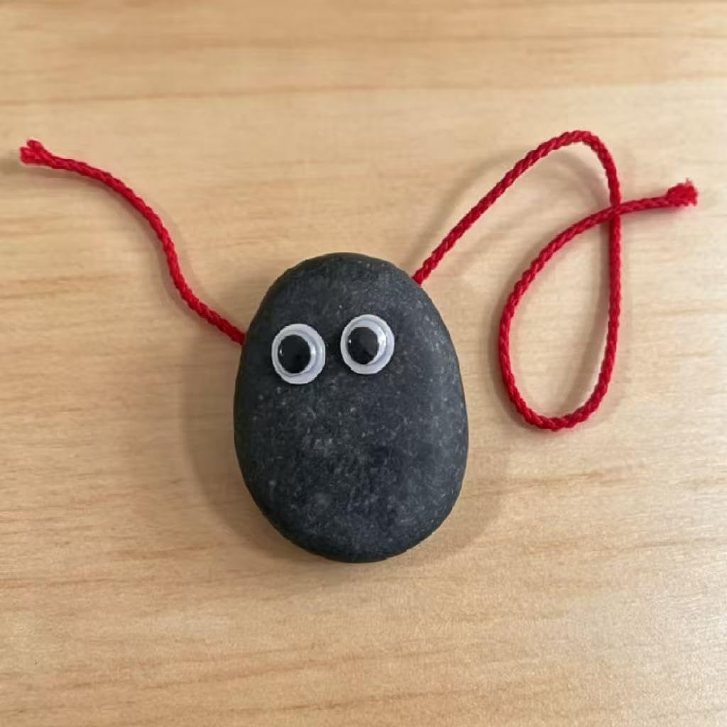 The Original Stone Companion DIY Kit, Low Upkeep Table Decor with Movable Eye Stickers, Mini Scarf, Raffia, Decor Cord & Storage Bag, Natural River Stone Gift for Birthday & White Elephant Party