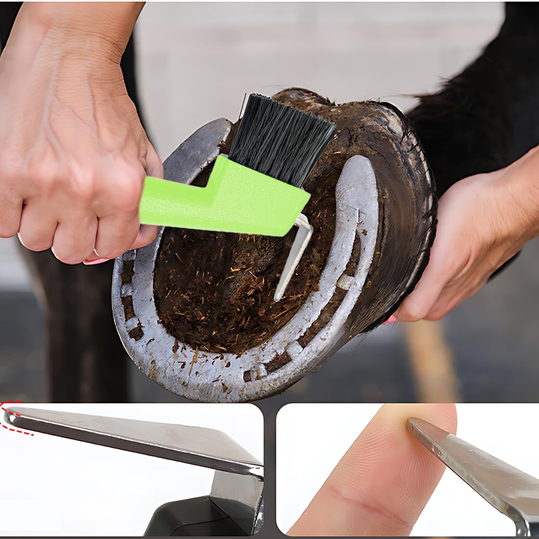 2 pcs Raschietto per zoccoli di cavalli, capre e asini, con spazzola estremamente stabile e impugnatura ergonomica, Colore casuale