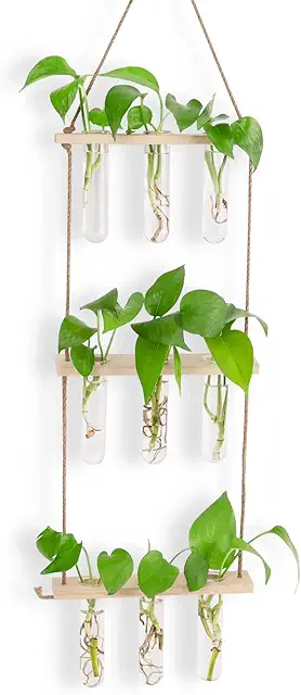 Kit de terrarium hydroponique 3 étages avec tubes en verre et support bois naturel