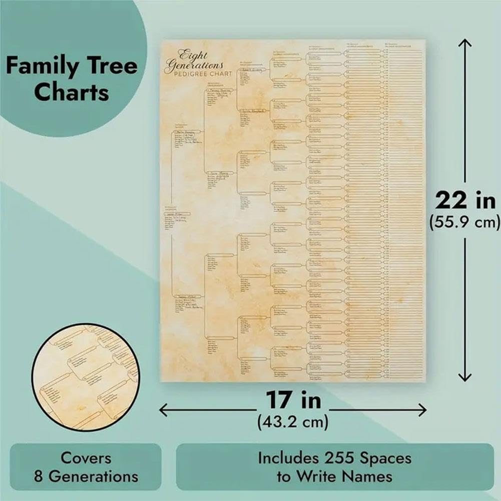 Stamboomdiagram om in te vullen, Compact 8 Generatie Stamboom Grafiek, Lege Voorouders Bouw Vulbare Yo Chart Grafiek Genealogie Naar