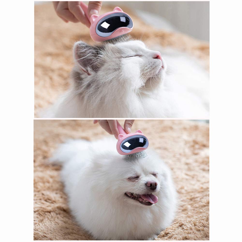 Welpen Starter Kit Katzenkamm Haarentfernung Rutschfestem Griff Selbstreinigende Reduziert Haarausfall Um 99% Rake FüR Hunde Und Katzen Mit Langen Oder Kurzen Haaren