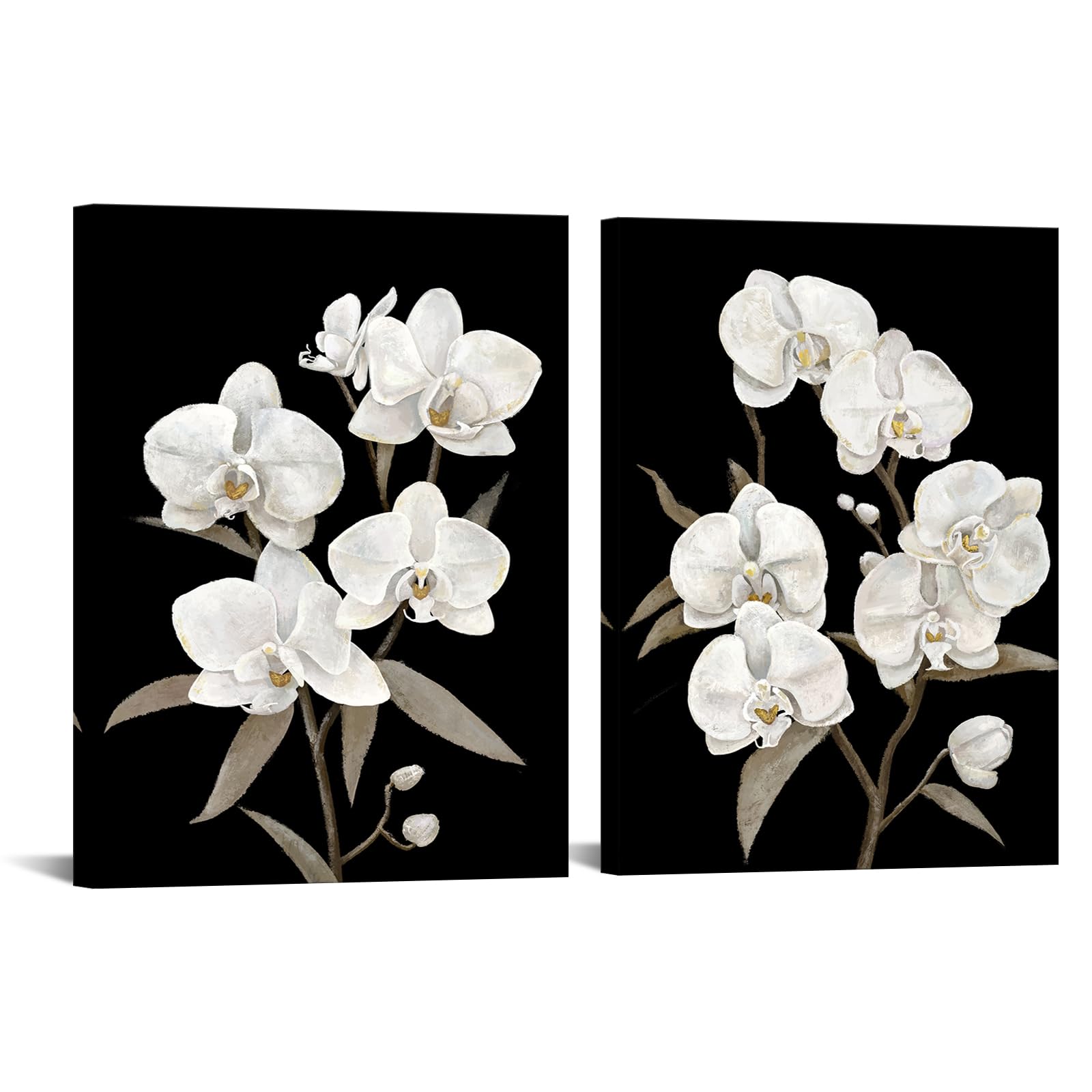 Amazon.com: White Orchids Print on Canvas Wall Art 2 Pieces