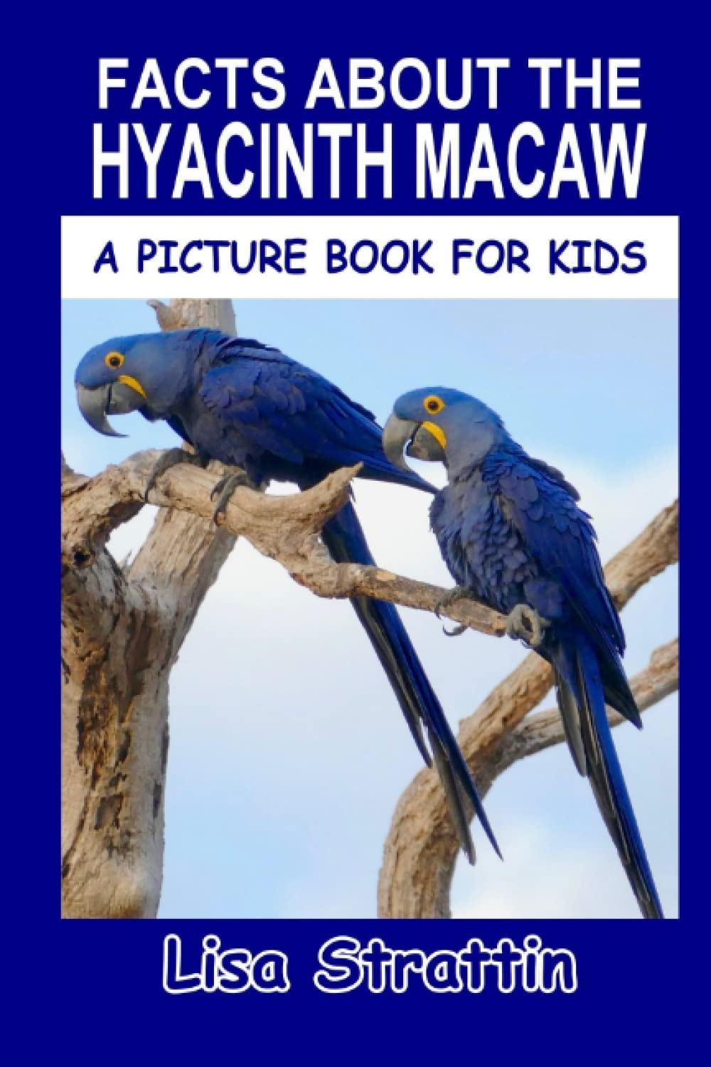 Facts About the Hyacinth Macaw (A Picture Book For Kids)