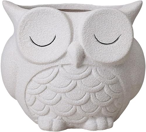 Cabilock Maceta de búho para decoración al aire libre, maceta de cerámica para suculentas, maceta, maceta, maceta, bonsái, macetas, búho, plantas,