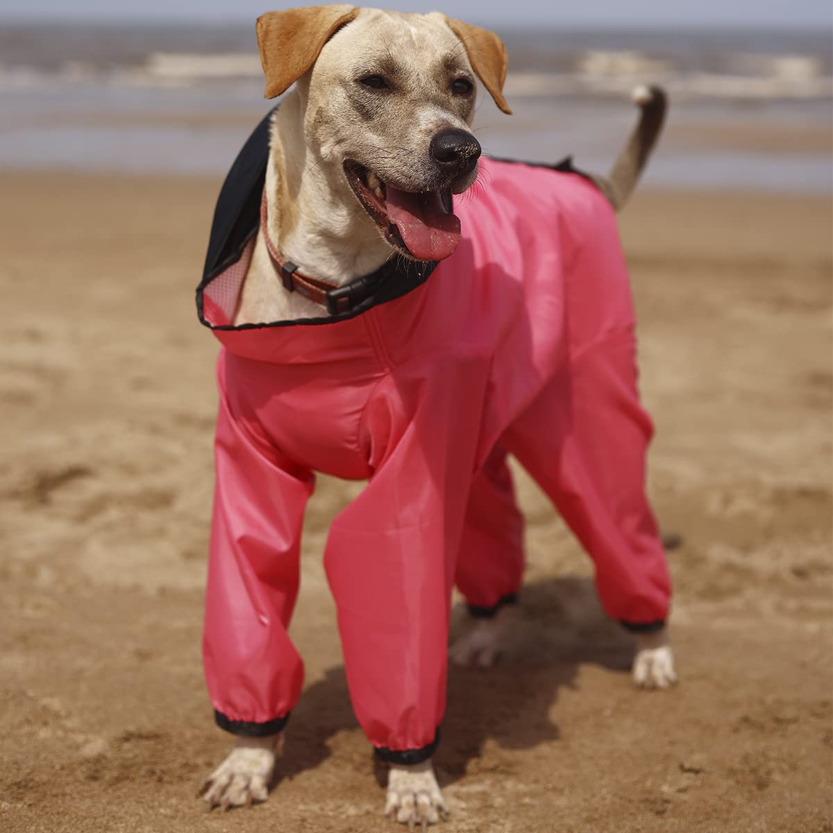 Four Legged Raincoat (Extra Extra Large, Pink) 2