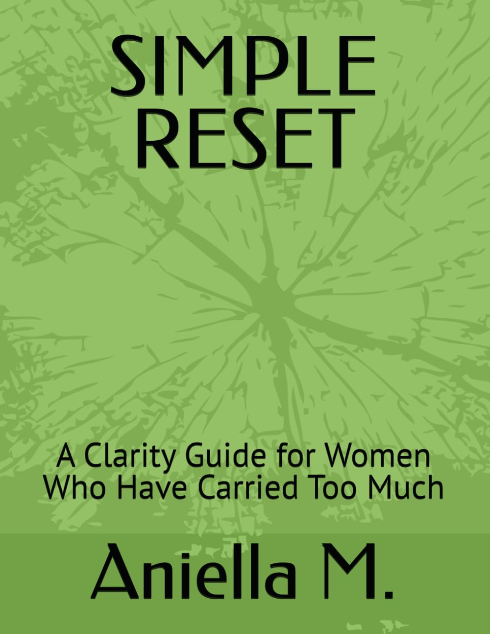 SIMPLE RESET: A Clarity Guide for Women Who Have Carried Too Much