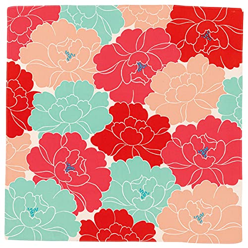 (\ErG) C~  ނ {  50cm ڎO Ђ߂ނ aG I[KjbNRbg E O×bh (wasou1089kj