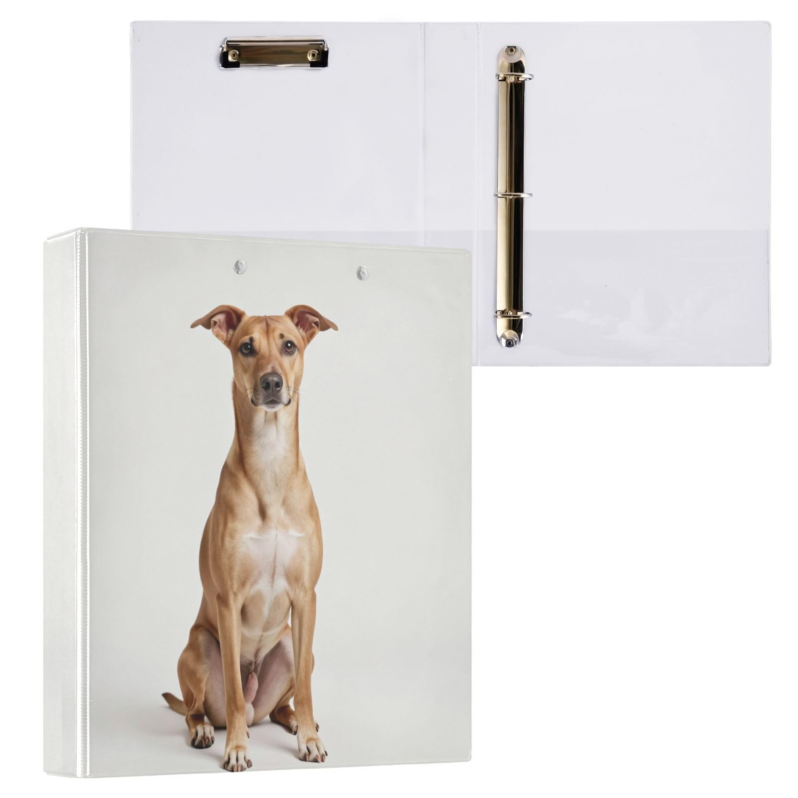 3 raccoglitori ad anelli per quaderni da 3,8 cm, con tasche interne, confezione da 1/2 raccoglitori universitari per studenti, 200 fogli, carini chihuahua a capelli corti sdraiati per compleanno