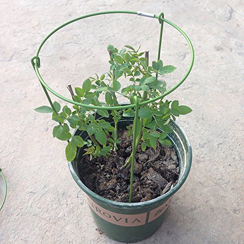 rescozy (Pack of 6) Small Garden Plant Support Rings, 7.9\" Wide x 11\" High, 3 Legs - Thumbnail 4