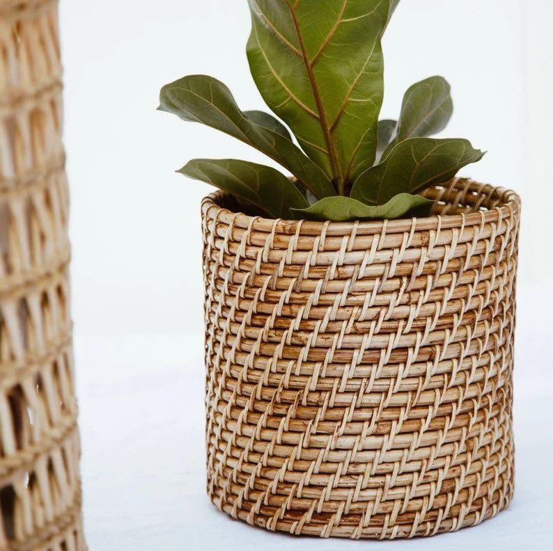 Rattan Planter/Wicker Plant Pot (25x25 cm) (B0CB4TS2YW) Amazon Price History, Amazon Price Tracker