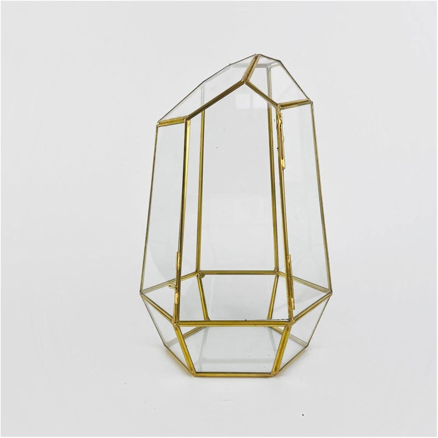 Geometric Glass Terrarium with Opening Door Modern Indoor Planter for Succulents, Air Plants Tropical Greenery Tabletop Decoration for Home Or Office Spaces