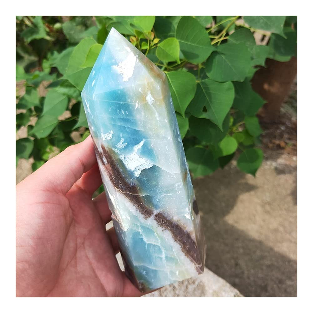 Amazon.com: FVJKNWTY Gift for Family 240-700g Natural Caribbean