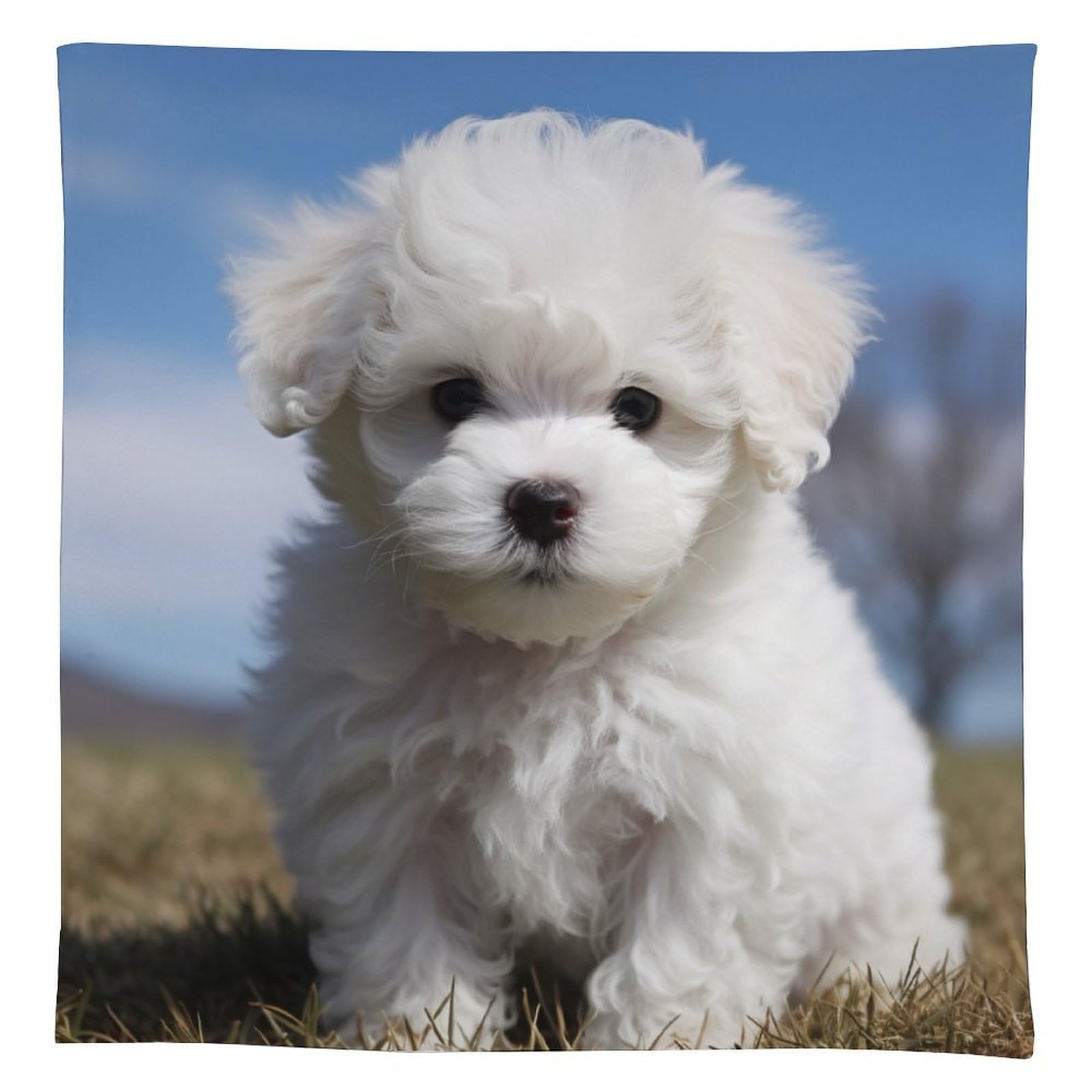 Nappe rectangulaire lin anti-tache motif bichon frisé imperméable