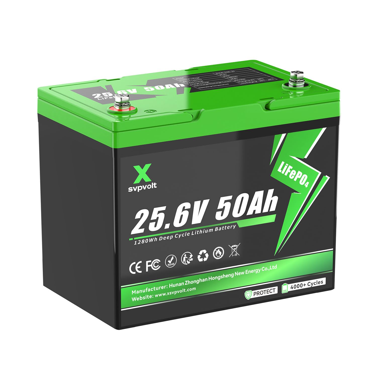 Batteria LiFePO4 24V 50Ah