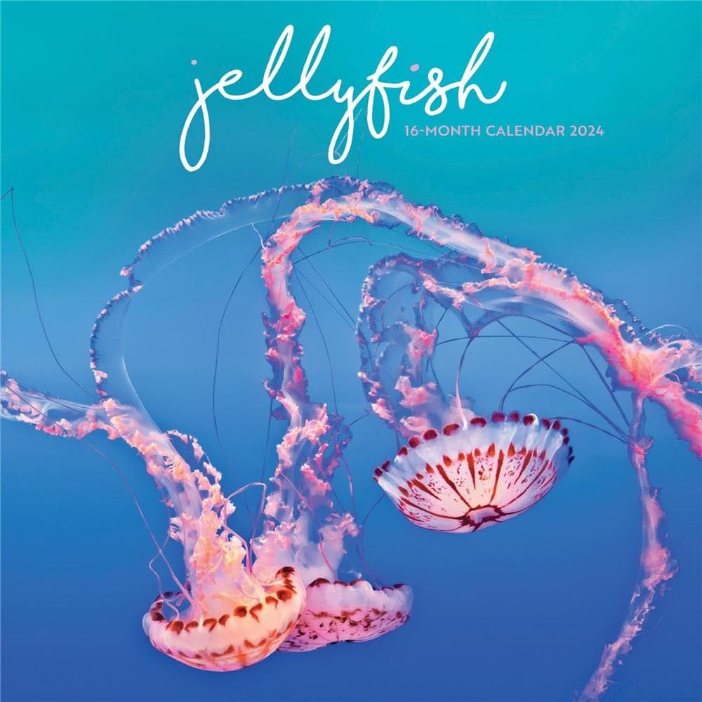 Carousel Calendars, Jellyfish 2024 Wall Calendar