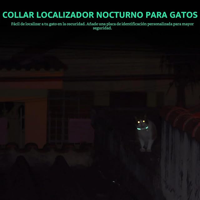 Foto 5 de 8 de Collar de gato personalizado que brilla en la oscuridad