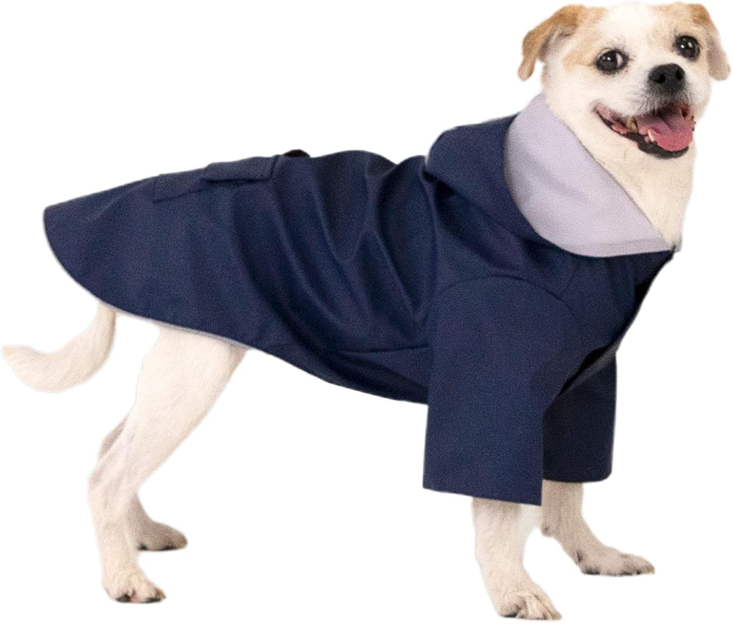 dog house coat