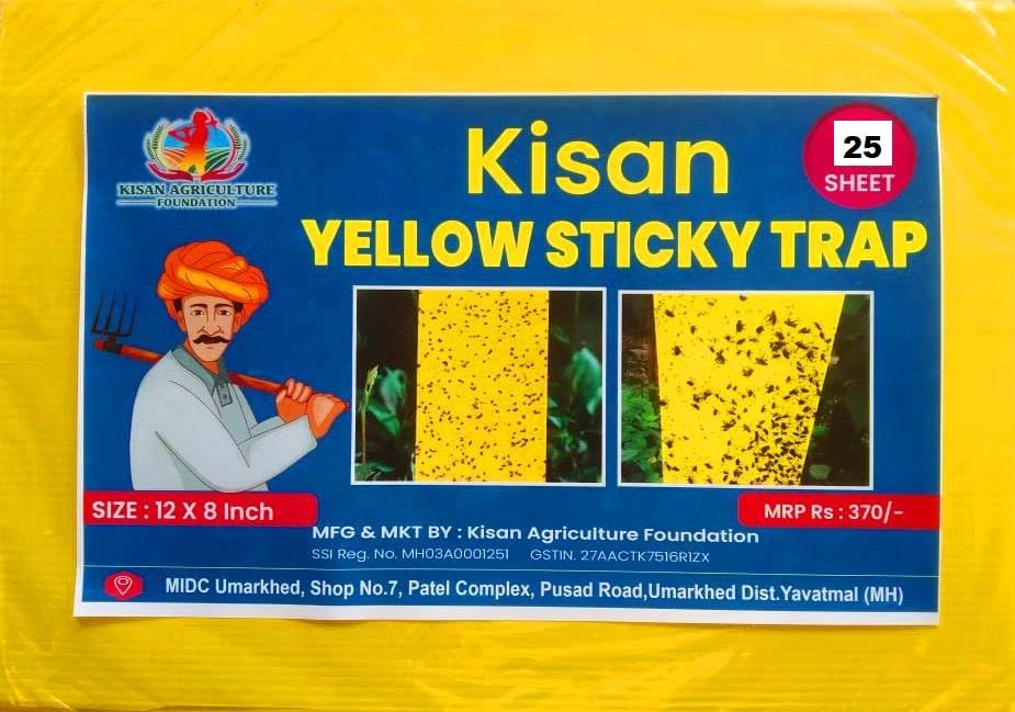 Yellow Plastick Sheet for All Crop - 12 Sheet -Size 12 by 8 | Sheet for Control White Fly | 10 Yellow and 2 Blue (B0CQNLPG72) Amazon Price History, Amazon Price Tracker
