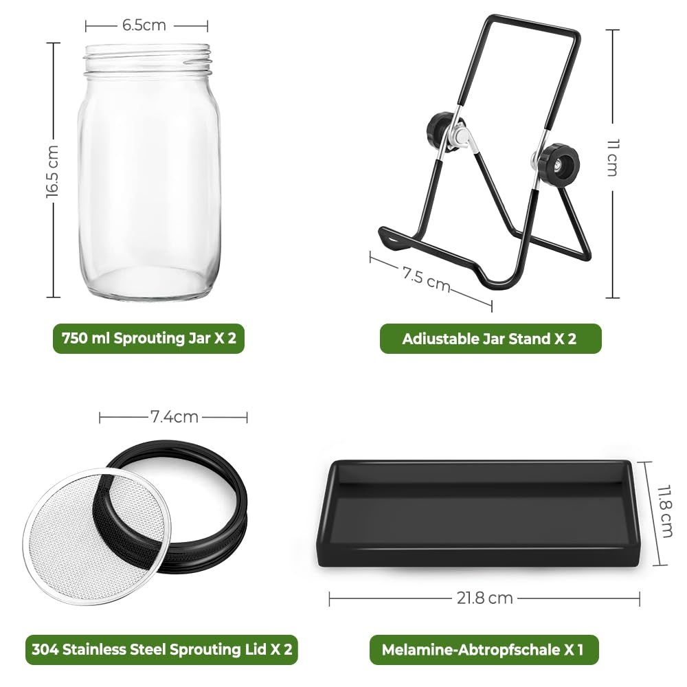 ecooe Sprossen - Juego de 2 tarros de cristal germinado para brotes de cristal con 1 cuenco de agua, 2 cubiertas de rejilla de filtro de acero inoxidable 304 y 2 soportes