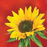 Creative Converting 656963 16 Count Beverage Napkins, Sunflower Style, Orange/Yellow/Green