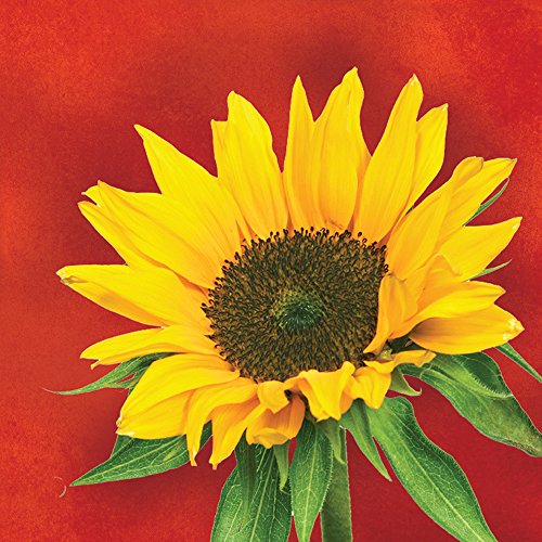 Creative Converting 16 Count Beverage Napkins, Sunflower Style, Orange/Yellow/Green