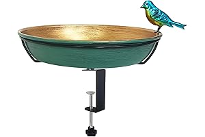 Deck Bird Bath: Outdoor Decor for Relaxing Ambiance