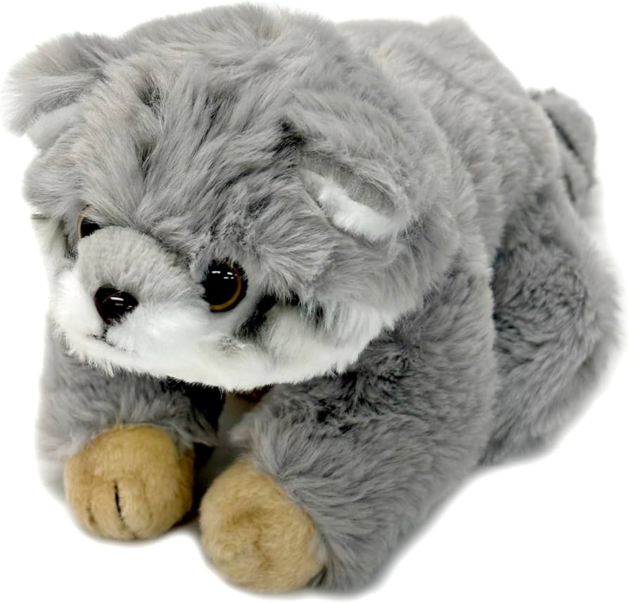 Amazon.co.jp: キュート販売 ぬいぐるみ くたくたマヌルネコS Z0374