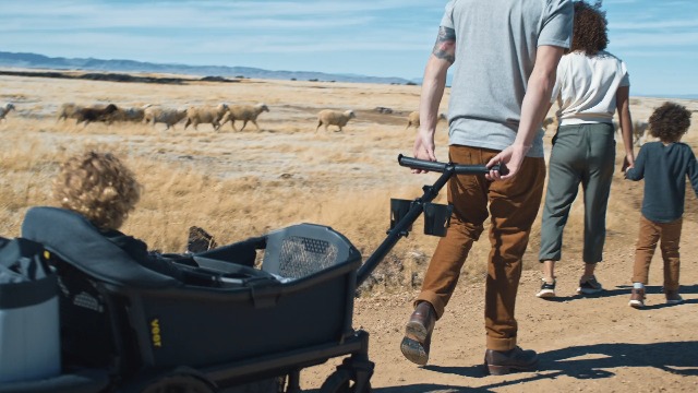 Amazon.com : Veer All-Terrain Cruiser XL | Premium Off-Road Wagon